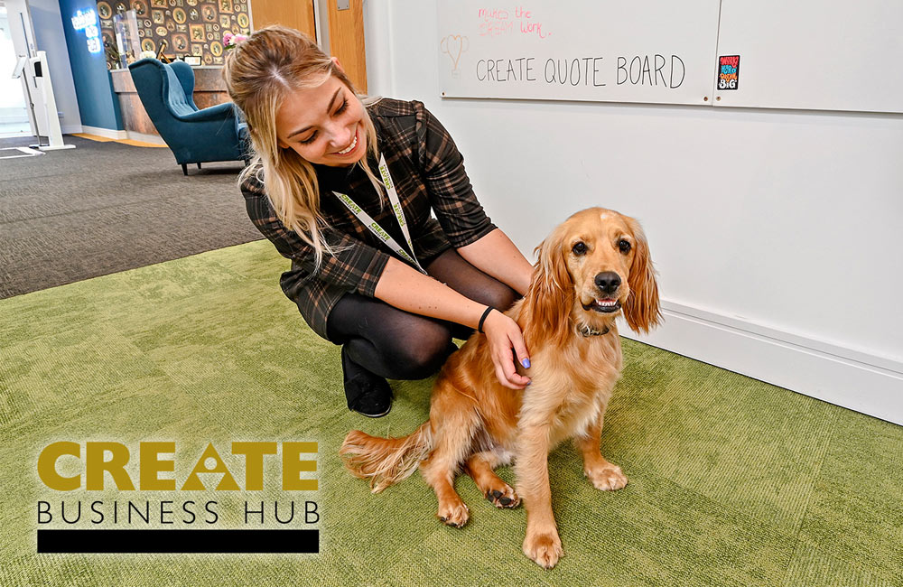 Create Business Hub - Serviced Office Space for Rent in Essex - dogs in the workplace